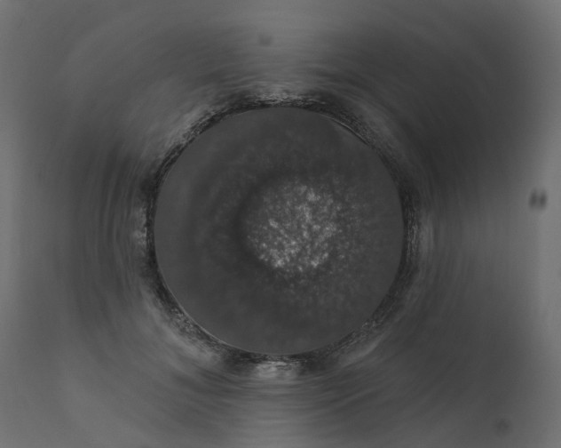 X0000110700700200906261408