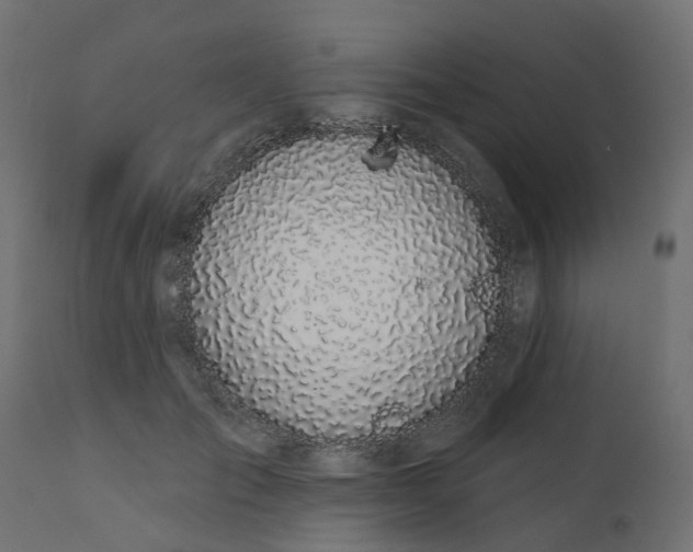 X0000110700701200906261408