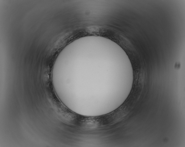 X0000110700702200906261408