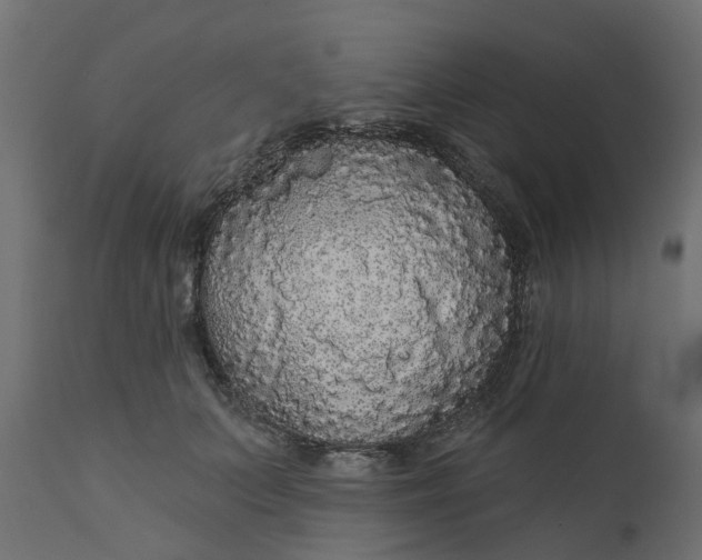 X0000110700703200906261408