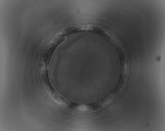 X0000110700704200906261408