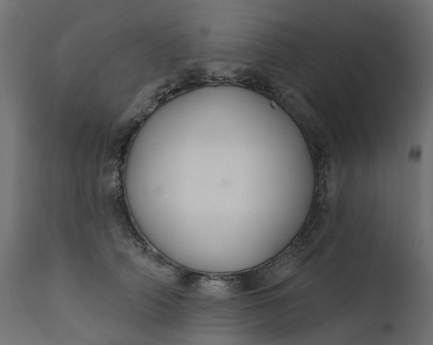 X0000110700706200906261408