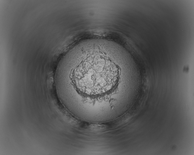 X0000110700707200906261408