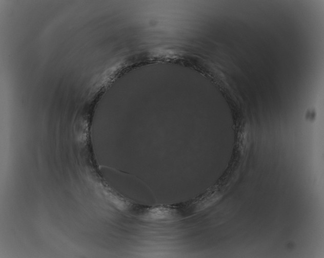 X0000110700708200906261408