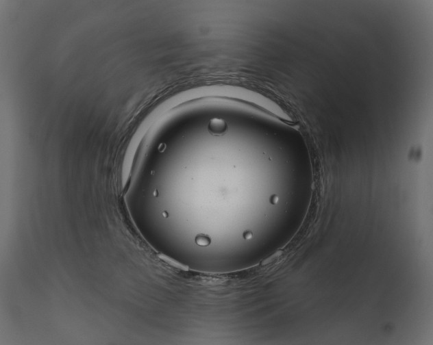 X0000110700709200906261408