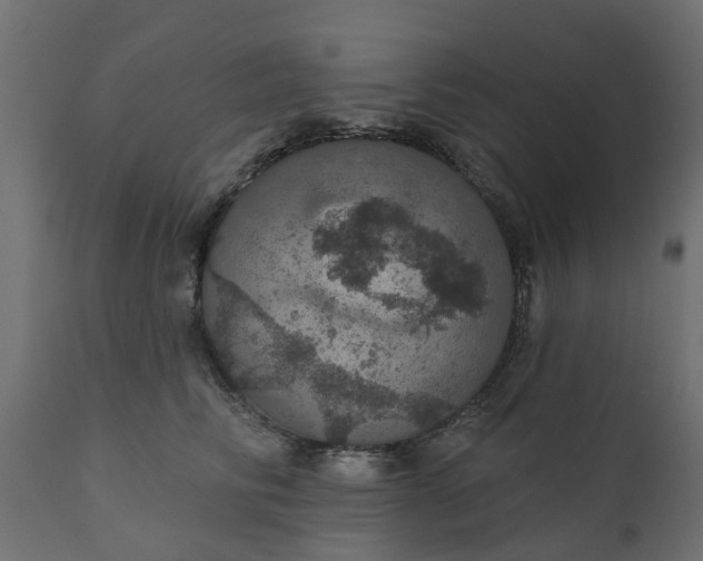 X0000110700710200906261408