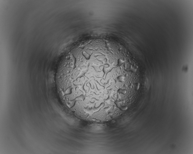 X0000110700711200906261408