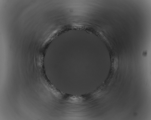 X0000110700712200906261408