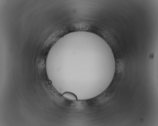 X0000110700713200906261408