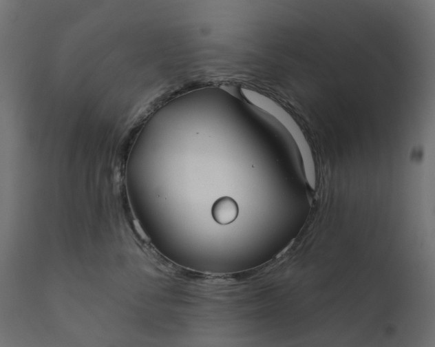 X0000110700716200906261408