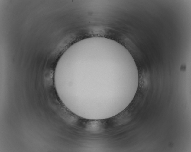 X0000110700717200906261408