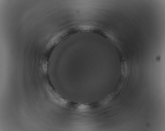 X0000110700718200906261408