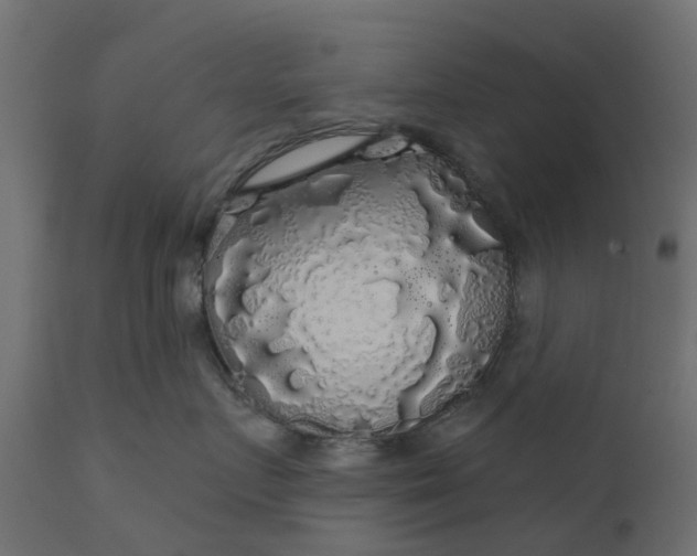 X0000110700719200906261408