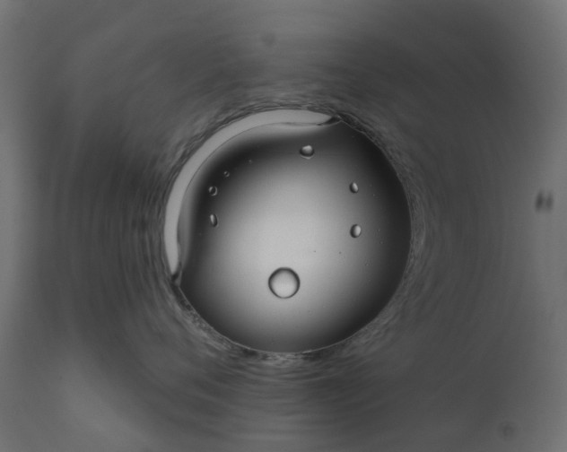 X0000110700720200906261408