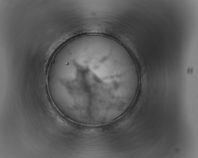 X0000110700721200906261407