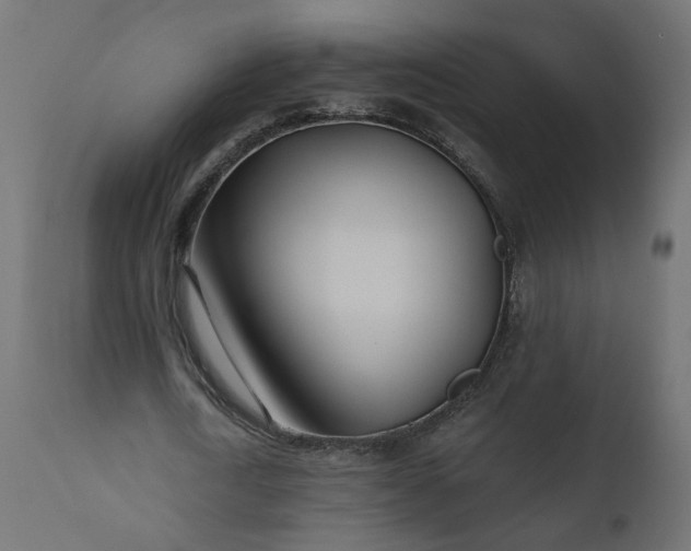 X0000110700722200906261407