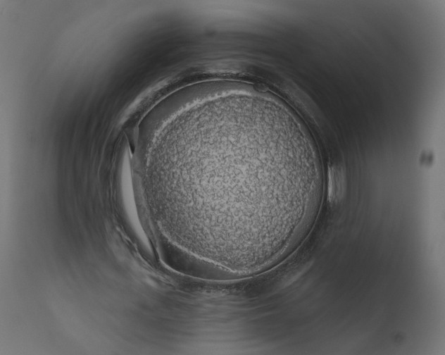 X0000110700723200906261407