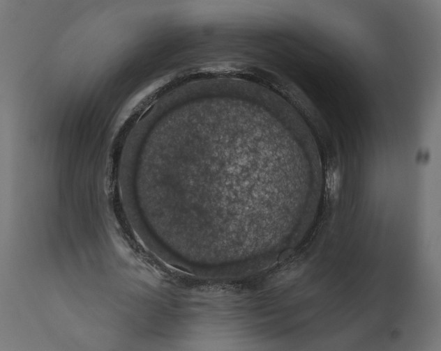 X0000110700724200906261407