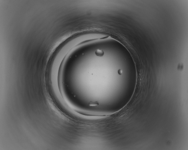 X0000110700726200906261407