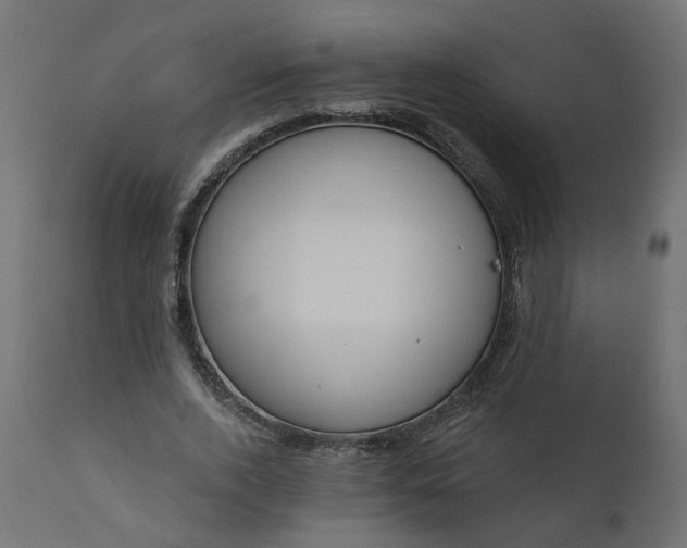 X0000110700728200906261407