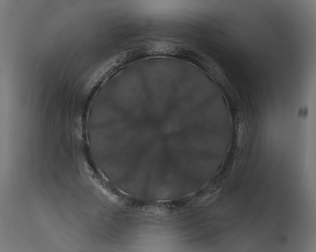 X0000110700729200906261407