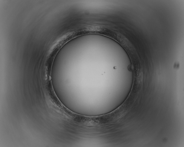 X0000110700731200906261407