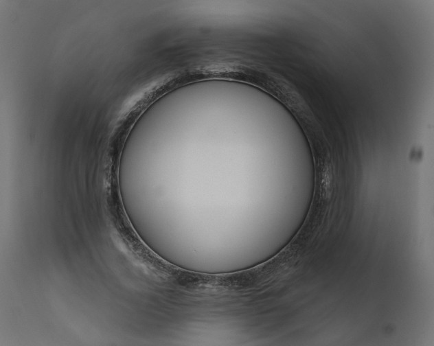 X0000110700732200906261407