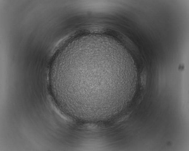 X0000110700733200906261407