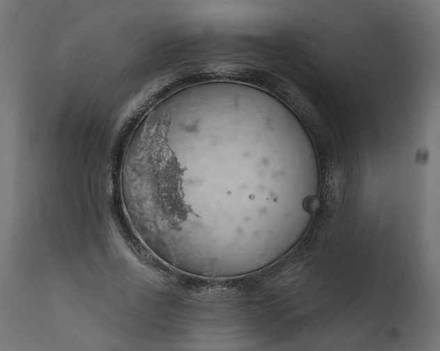 X0000110700734200906261407