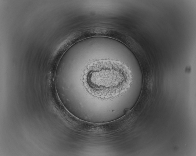 X0000110700735200906261407