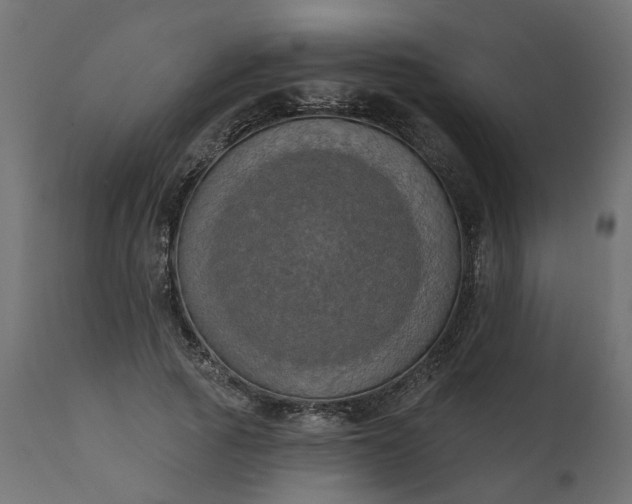 X0000110700737200906261407