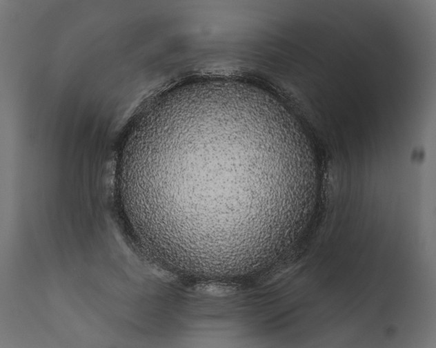 X0000110700739200906261407