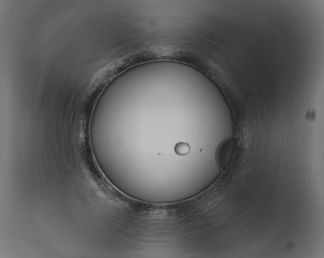 X0000110700740200906261407