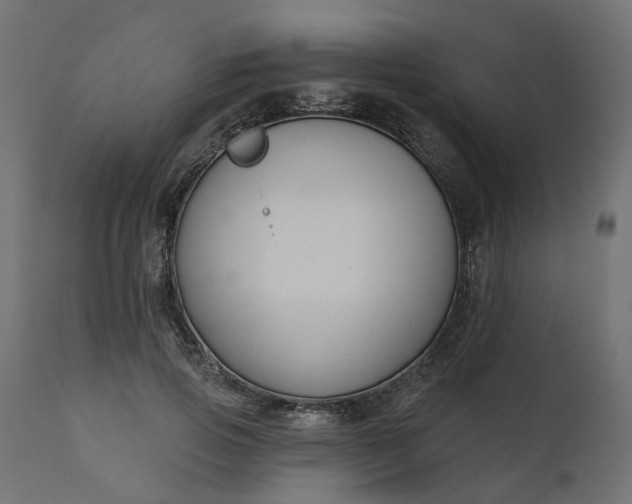 X0000110700741200906261407