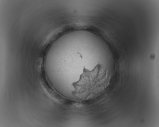 X0000110700742200906261407