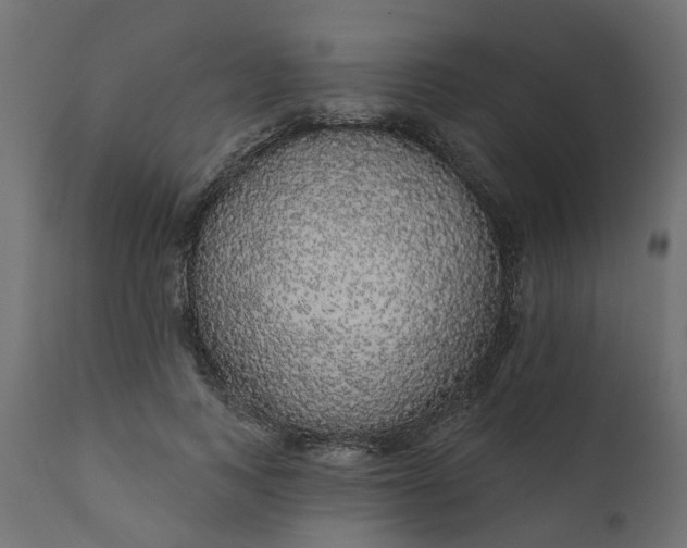 X0000110700743200906261407