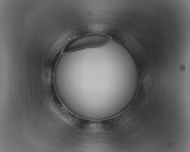 X0000110700744200906261407