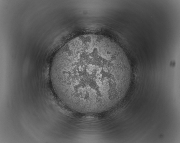 X0000110700745200906261407