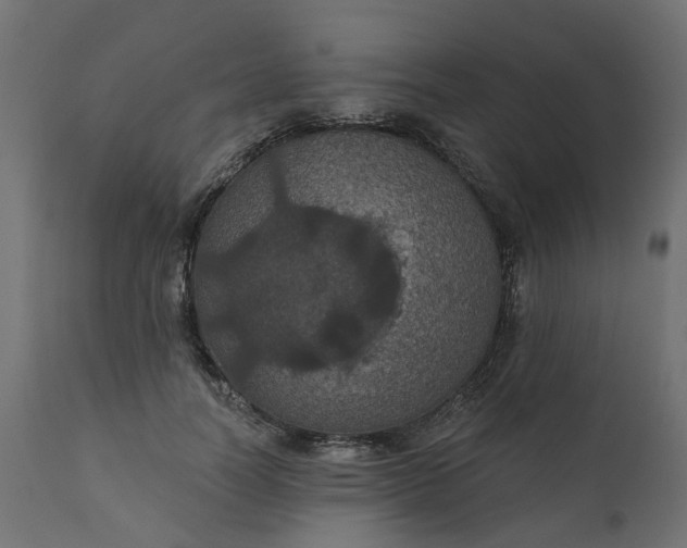 X0000110700746200906261407