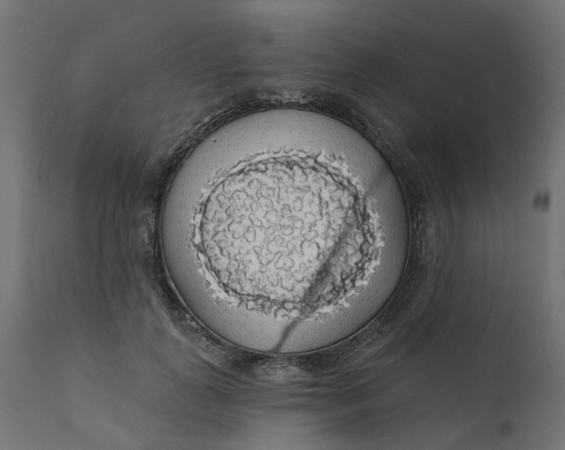 X0000110700747200906261407