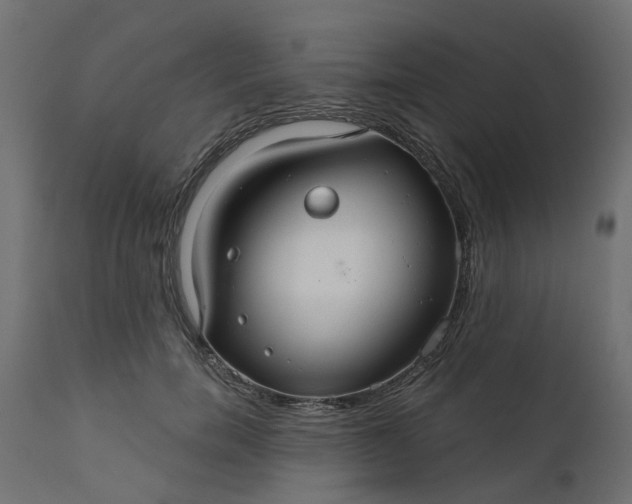 X0000110700750200906261407