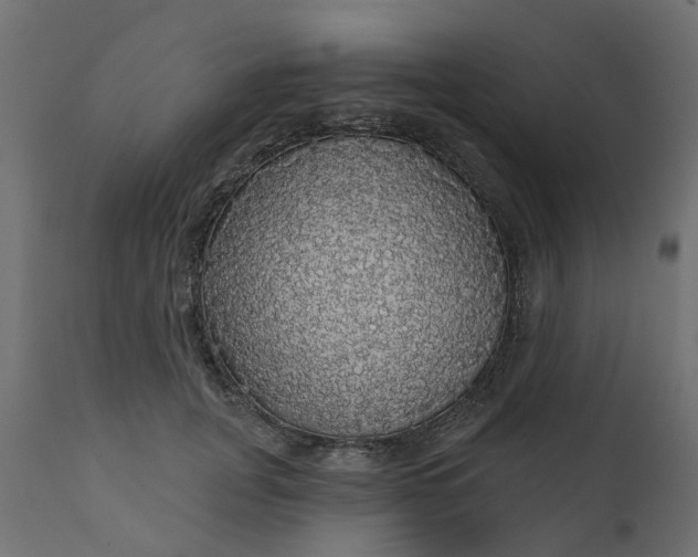 X0000110700751200906261407