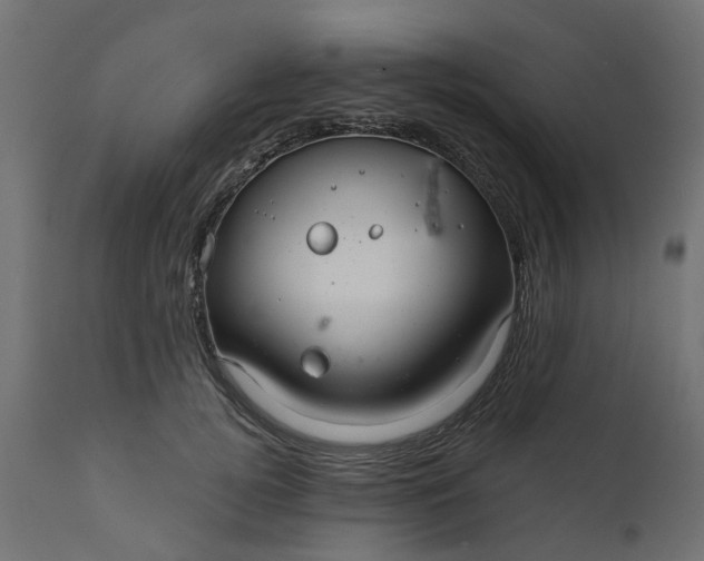 X0000110700752200906261407