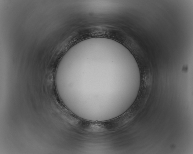 X0000110700753200906261407