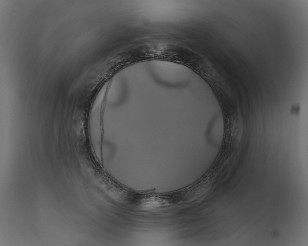 X0000110700754200906261407