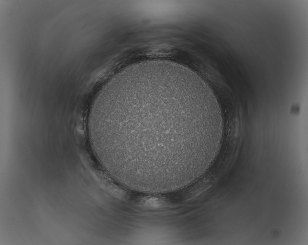 X0000110700755200906261407