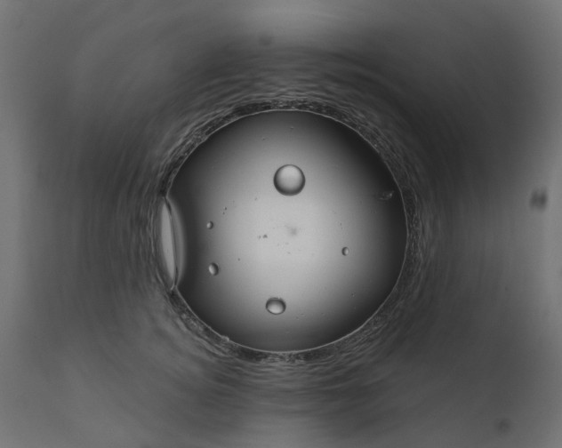 X0000110700756200906261407