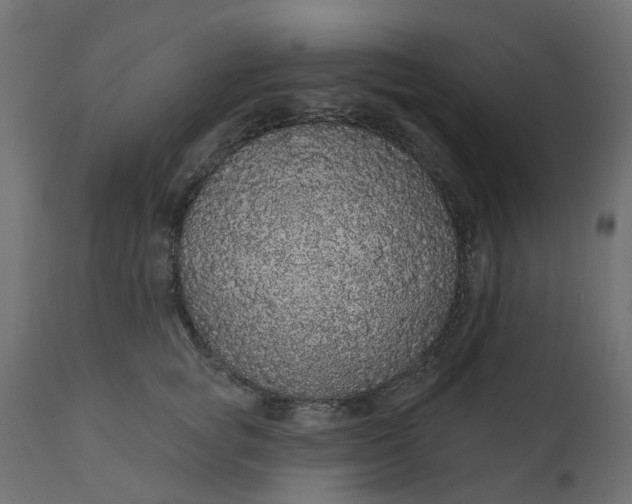 X0000110700757200906261407