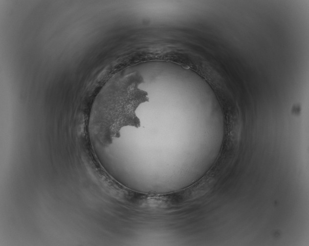 X0000110700758200906261407