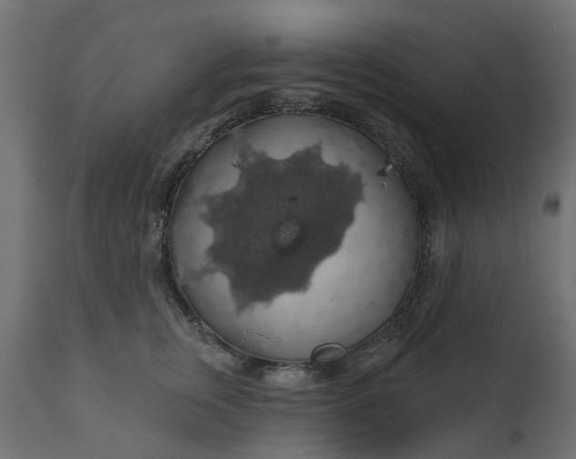 X0000110700759200906261407